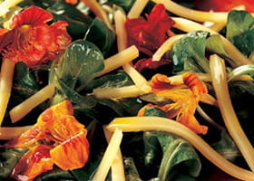 recipe image Petite salade de fleurs et mâche à l'Emmental grand cru