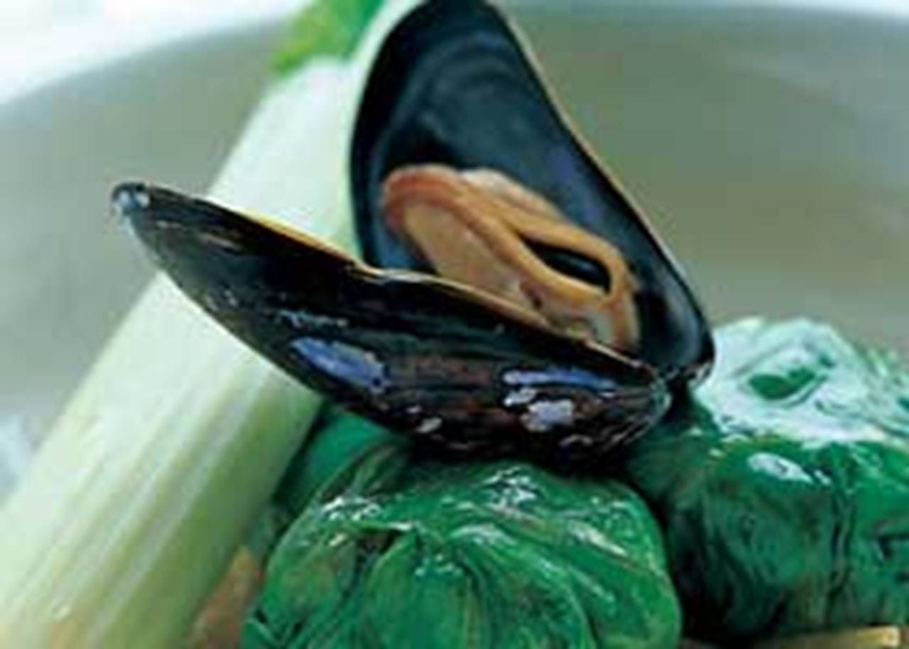 recipe image Laitue étuvée aux moules et au fenouil