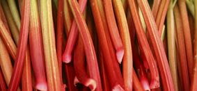 aan-de-slag-met-rabarber_large