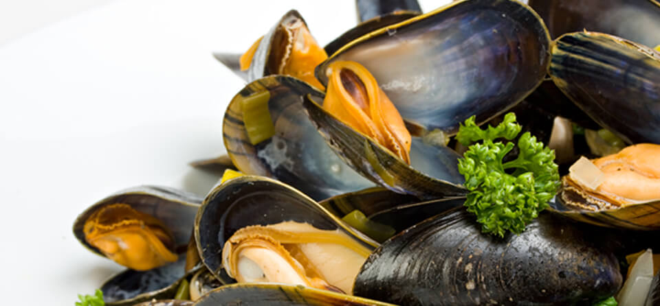 de-beste-bereidingswijzes-voor-heerlijke-mosselen_large