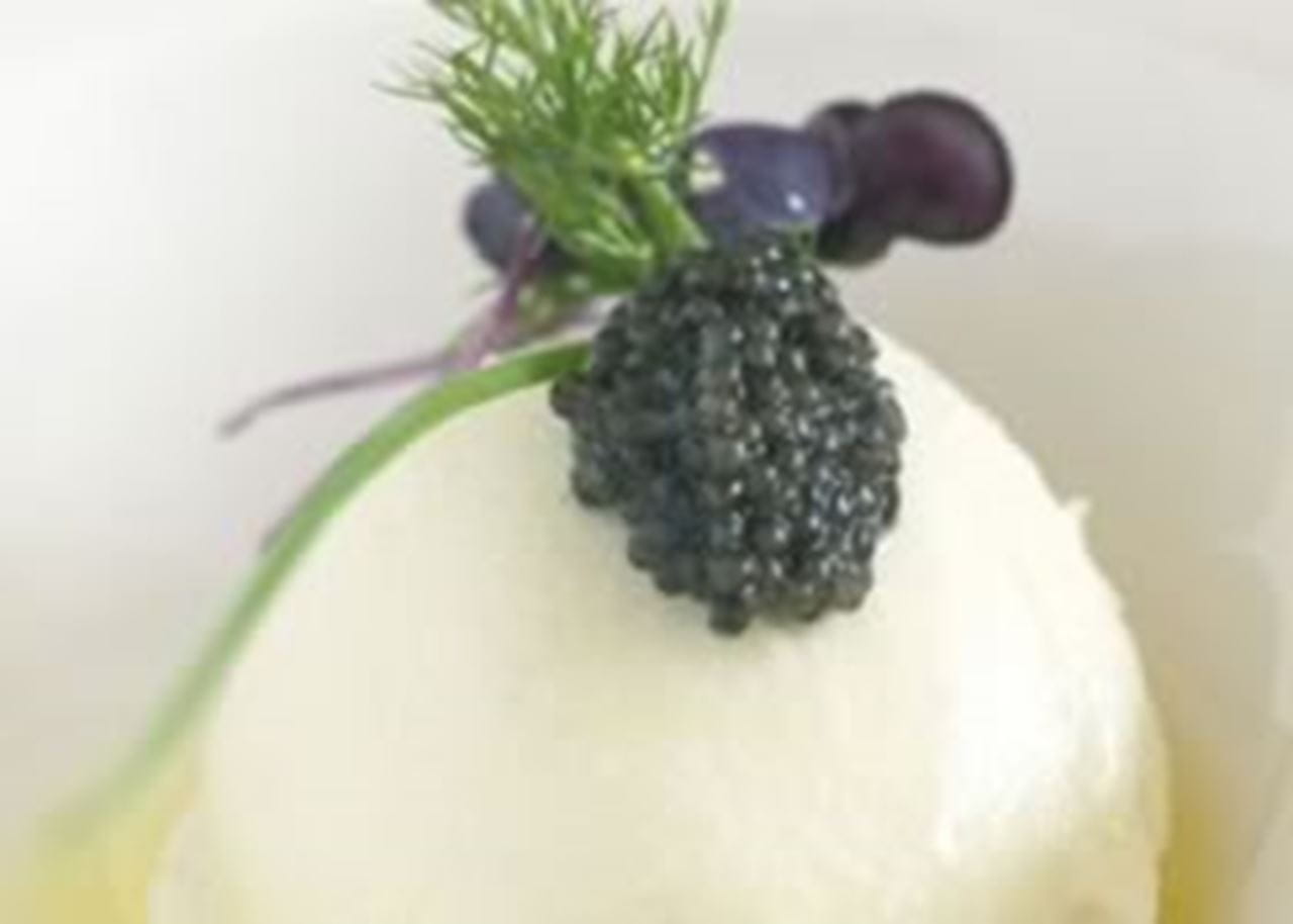 recipe image Pana cotta van bloemkool, truffelolie en osciètra kaviaar