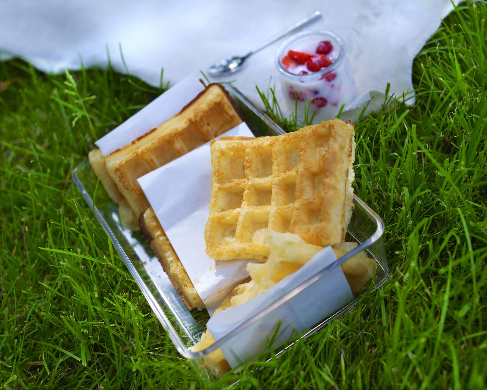 recipe image Brusselse wafel met yoghurt en rode vruchten