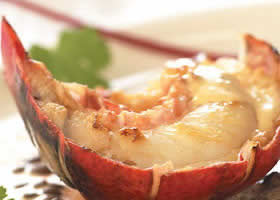 recipe image Gebakken noordzeekreeft op linzensalade met curry