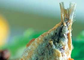 recipe image Gevulde sardines