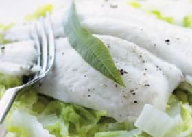 recipe image Heilbotfilets met citroengras