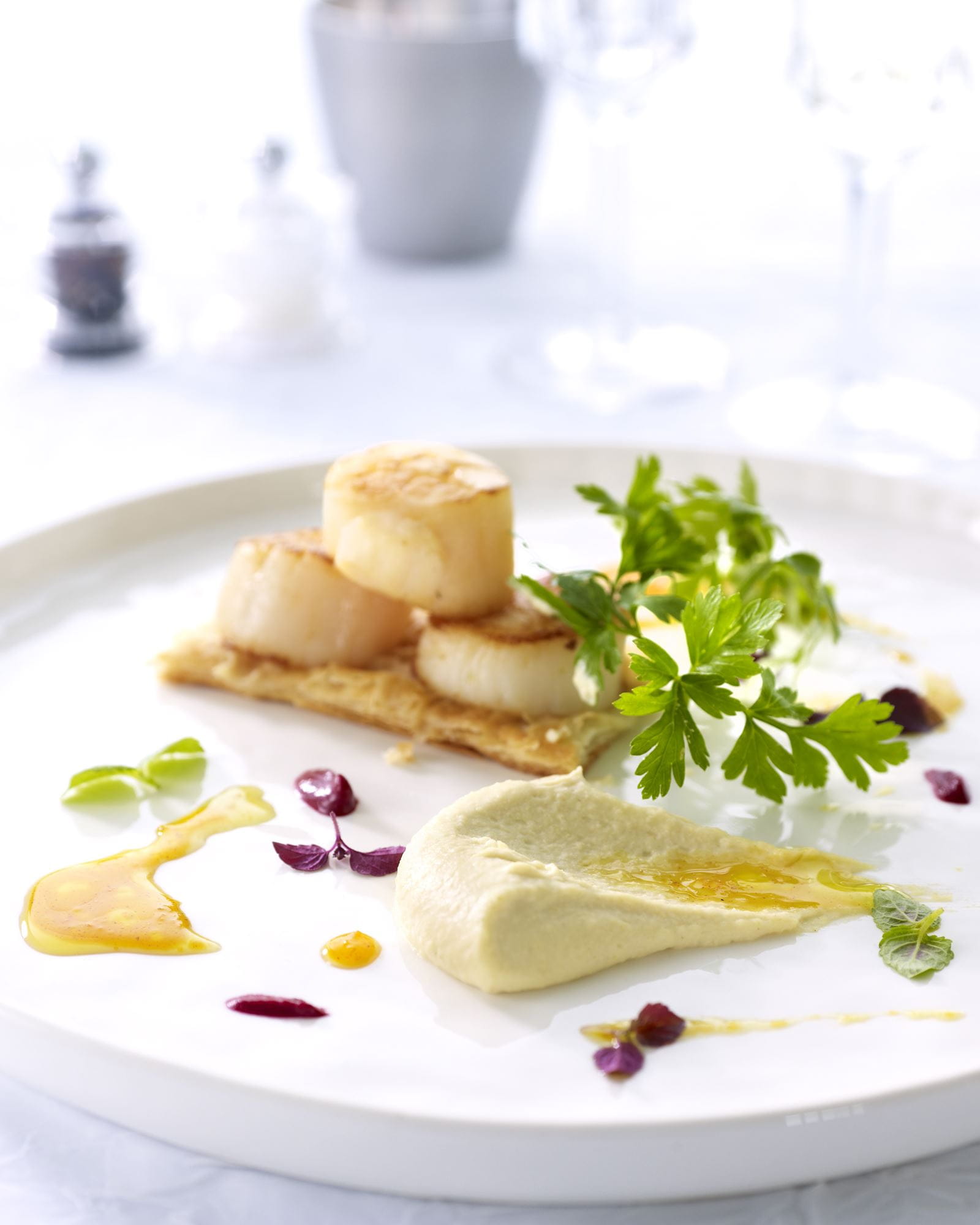 recipe image Krokantje van Sint-Jacobsnoot met crème van artisjok en lauwe sinaasappelolie