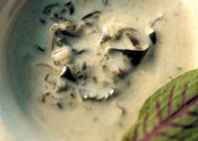 recipe image Zurkelsaus